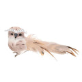 Owl with Clip
