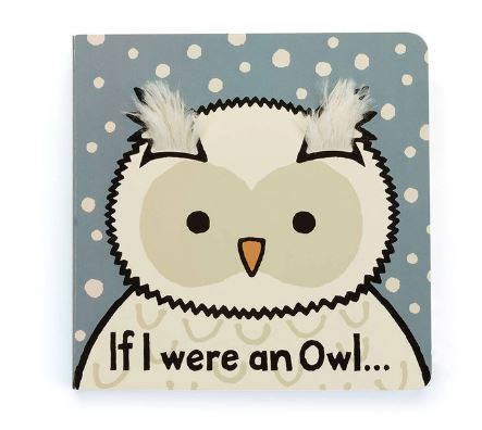 If I were a Owl Book