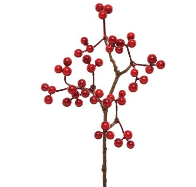 Red Berry Stem