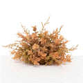 Rosemary Dome (Beige)