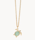 SLV Sea Turtle~