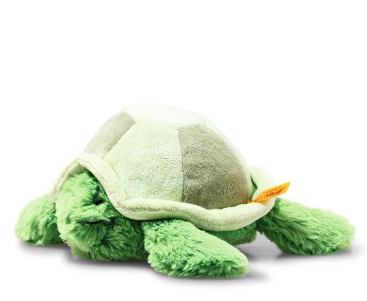 Tuggy Tortoise