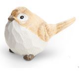 Tan and White Bird