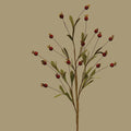 Wood Berry Spray