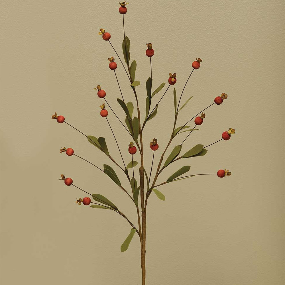 Wood Berry Spray
