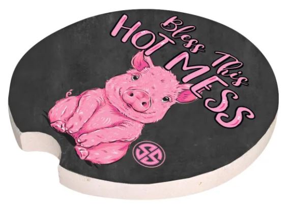 Simply Southern Car Coasters