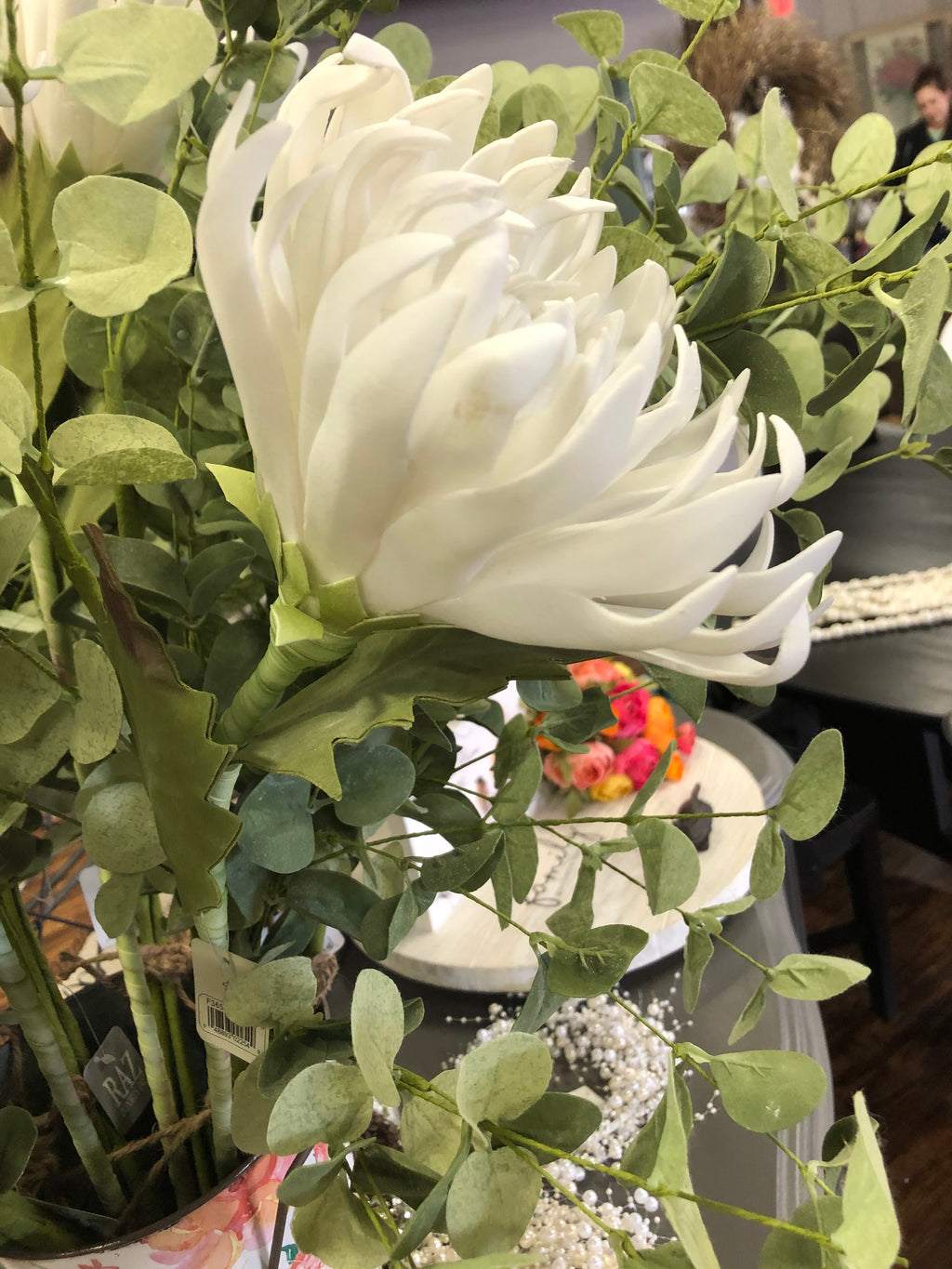 Dahlia Stem