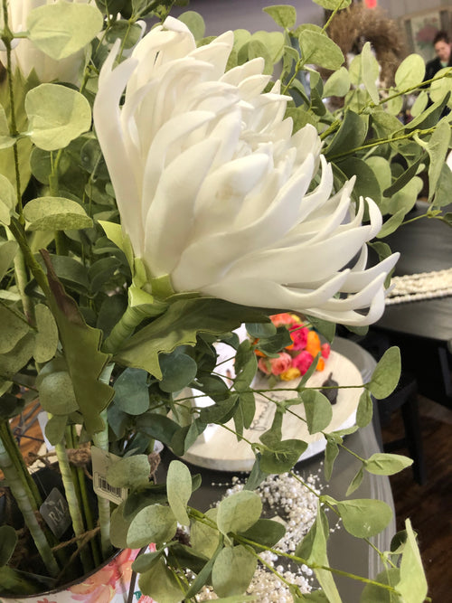 Dahlia Stem