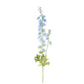 Blue Delphinium