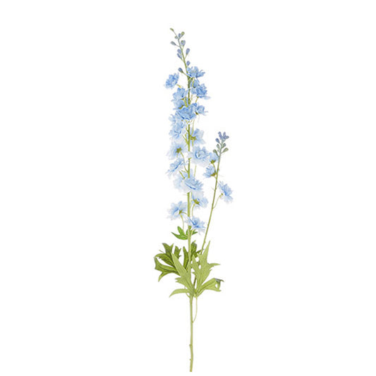 Blue Delphinium