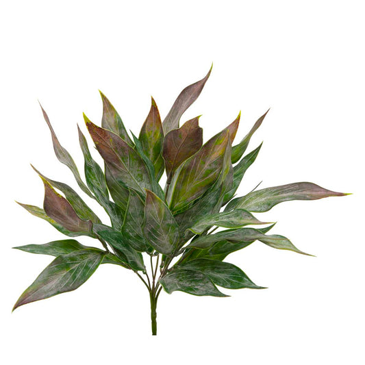 Sword Leaf Bush
