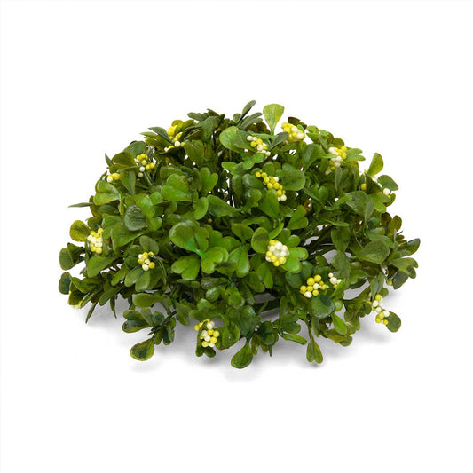 Boxwood Dome