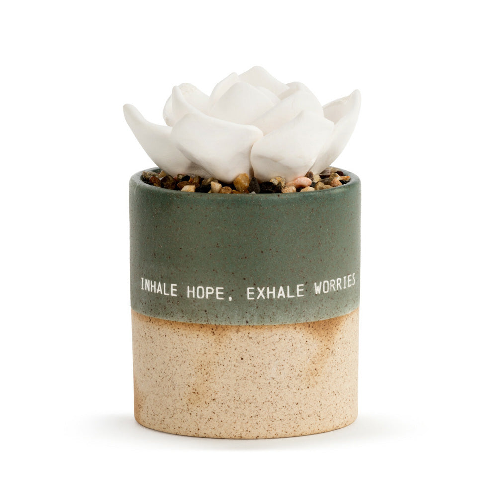 Succulent Oil Diffuser