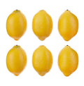 Bag of Lemons