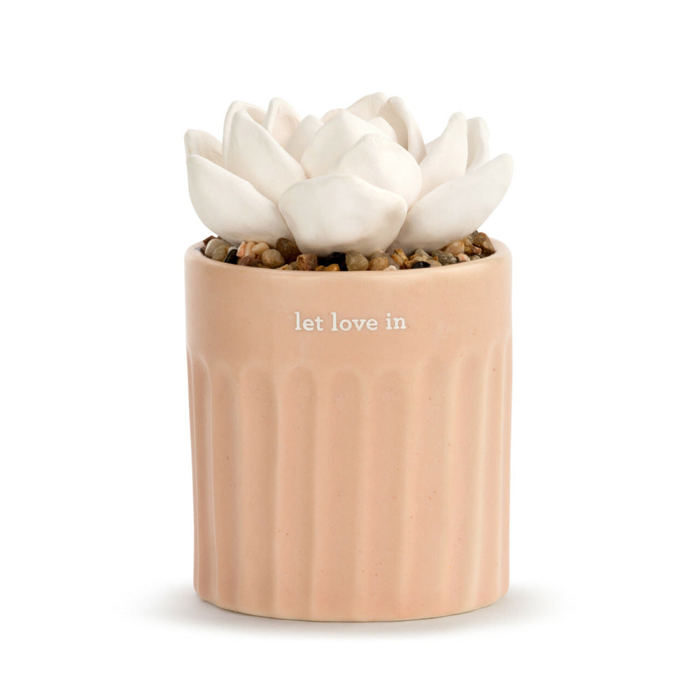 Succulent Oil Diffuser