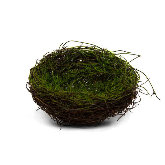 Mossy Twig Nest
