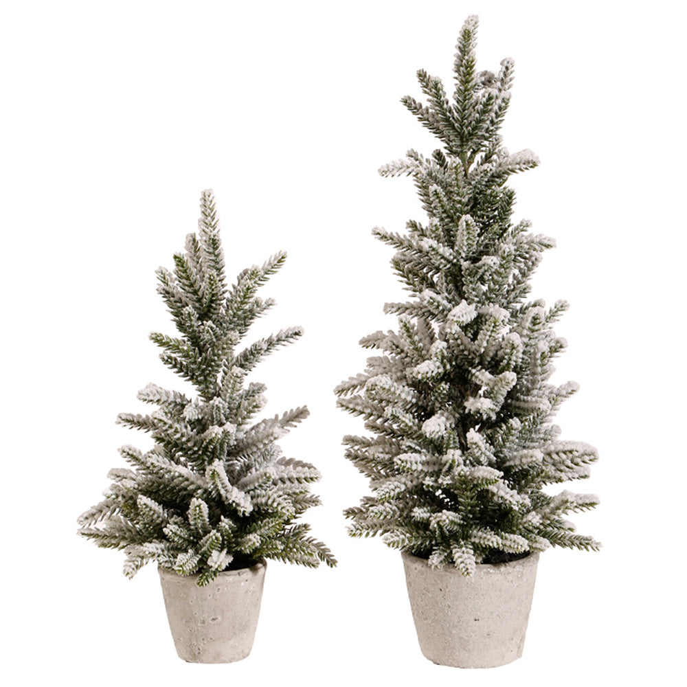 Snowy Pine Trees in a Pot