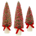 Potted Bottle Brush Trees with Red Berries