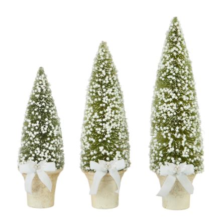 Pottled Bottle Brush Tree with White Berries