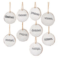 Santa's Reindeer Disc Ornament