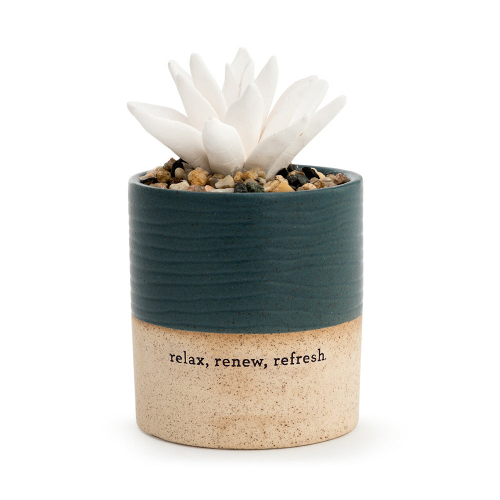 Succulent Oil Diffuser