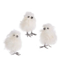 White Silky Chick